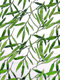 gum leaf pattern watercolour trials
