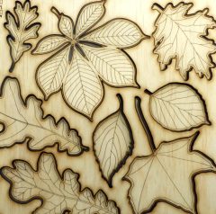 autumn leaves laser cut from plywood ©KarenSmith