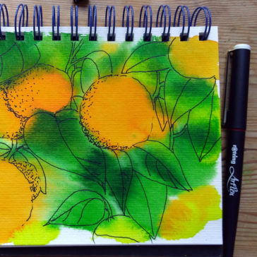 oranges_2 ©KarenSmith