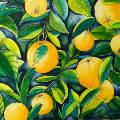Watercolour painting of oranges ands leaves by Karen Smith