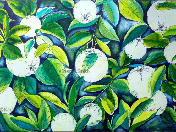 Watercolour painting of oranges ands leaves by Karen Smith