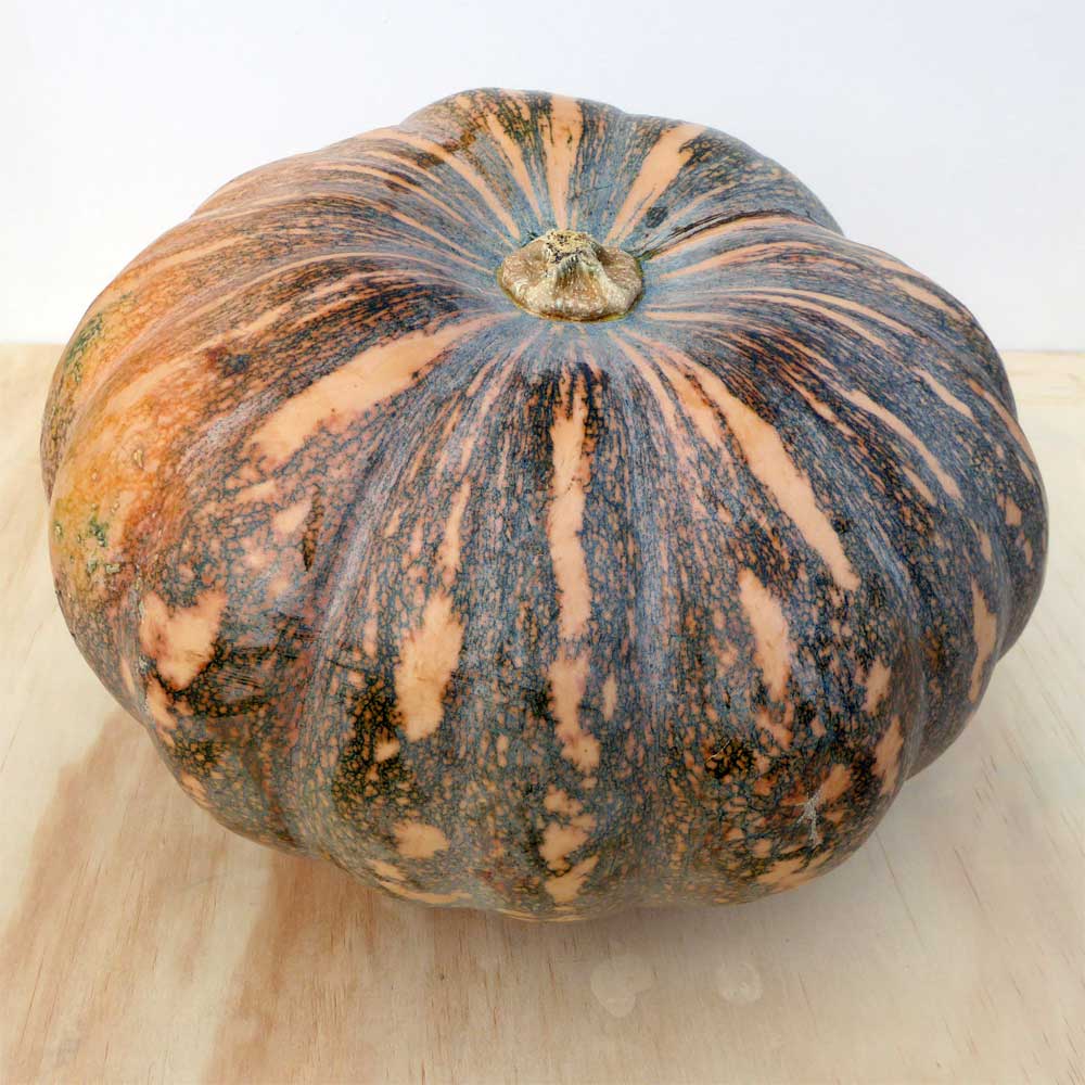 photo of pumpkin